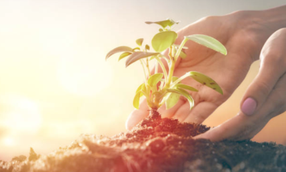 Certificaciones de sostenibilidad de las empresas agroindustriales