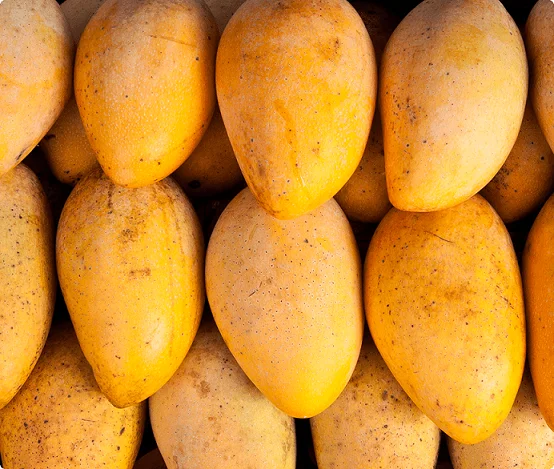 Tropical Fruit production