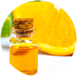 valencia orange