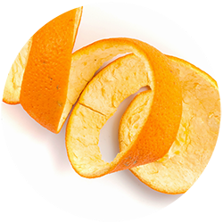 valencia orange, pulp cells