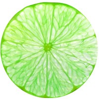 Persian Lime - Pulp