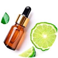 Persian Lime - Limonene