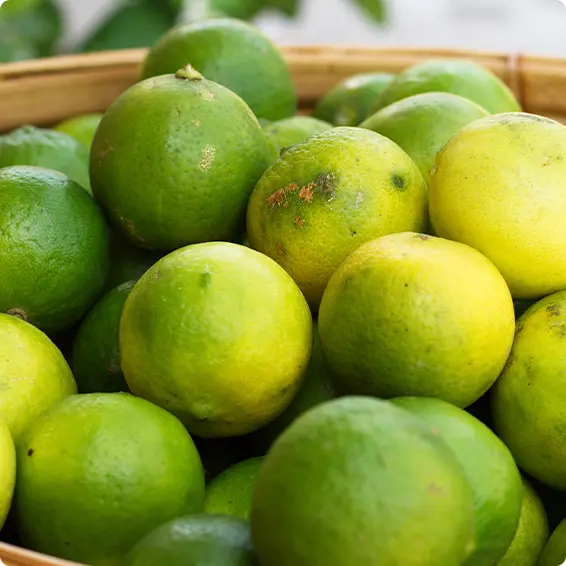 Lemon - Production